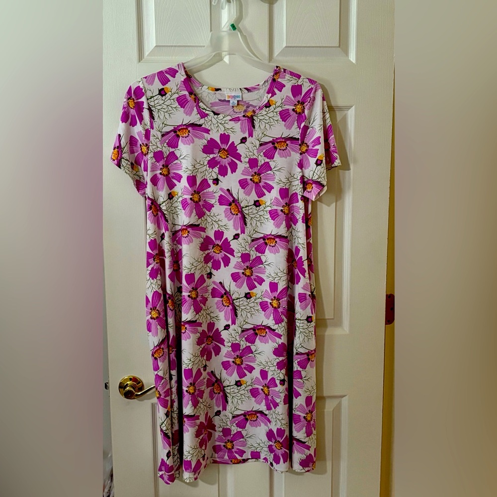 Women’s short sleeve dress by LulaRoe. XL. White background with pink flowers.